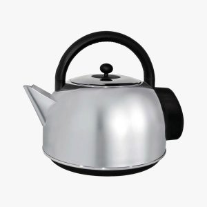 Stainless steel kettle